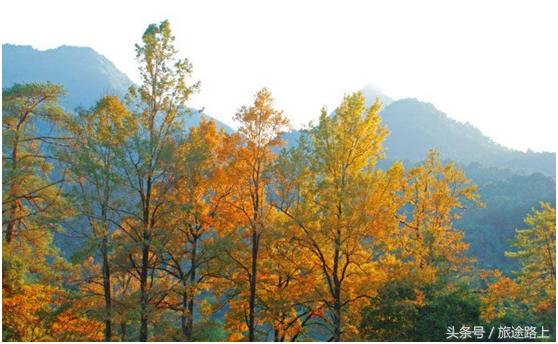 平远上举相思谷好玩吗,平远的相思谷