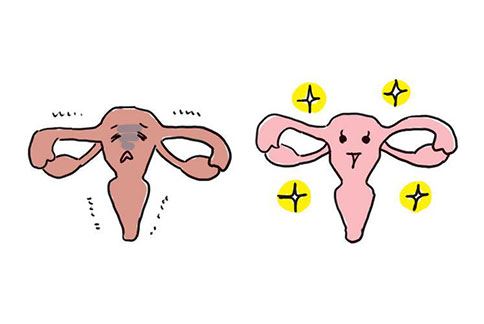 想生第二胎,二胎卵巢发育时间