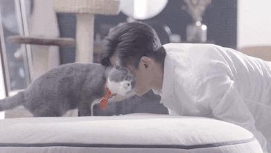 鹿晗胡歌吴磊,鹿晗胡歌葫芦娃