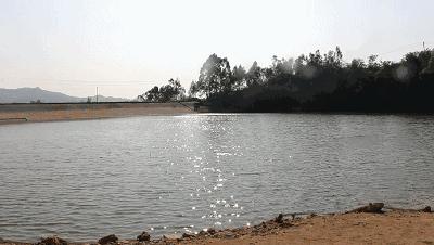 潮州好玩的农庄推荐,2022年潮州哪个农庄好玩