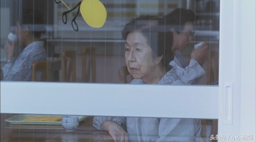 伤感菊次郎的夏天,菊次郎的夏天感悟