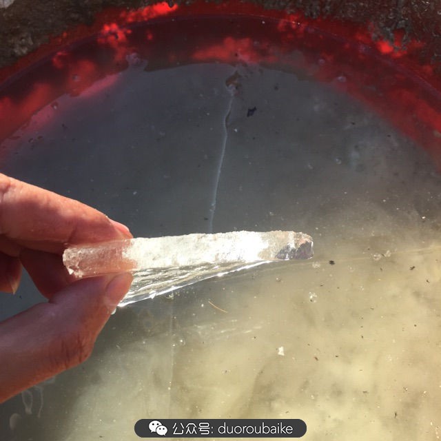 关于多肉植物的国画,多肉山水画