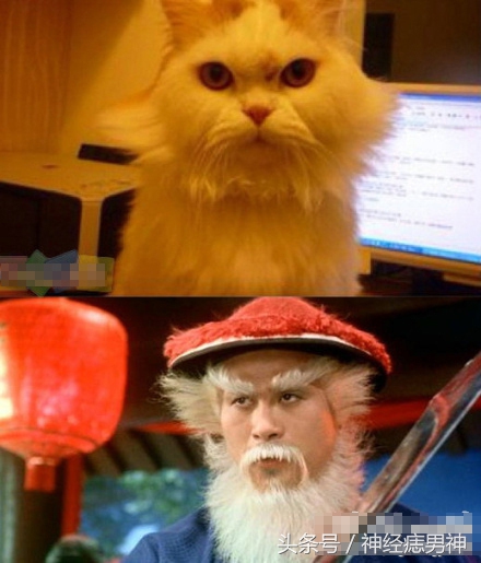 从来没有化过妆玩cos,从没见过这么小众的cos