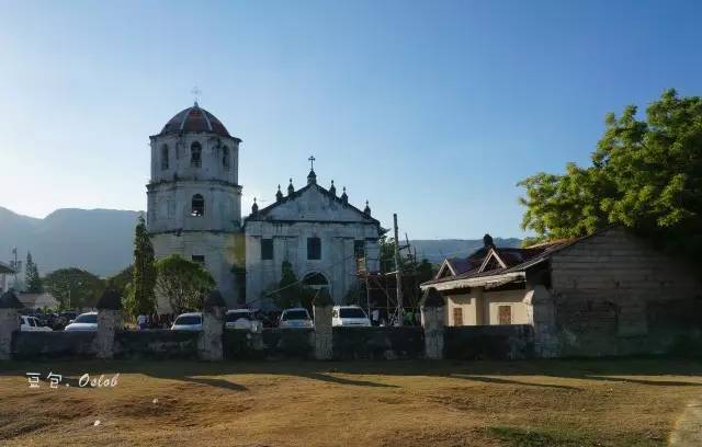 除了鲸鱼海豚还有哪些哺乳动物,除了鲸鲨还有什么鱼比较大