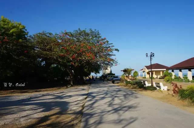 除了鲸鱼海豚还有哪些哺乳动物,除了鲸鲨还有什么鱼比较大