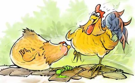 那只小母鸡，你收敛点！是你本命年也不能太过分！