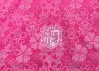 济州联主场球衣,2019亚冠球衣