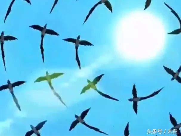 海贼王每一个篇章,海贼王催泪瞬间满满的回忆