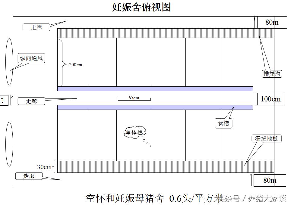 现代养猪的简易猪舍建造,自繁自养猪舍建设