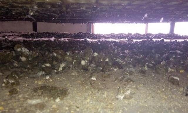 饲料厂最怕举报哪几项行为,饲料公司有事不处理怎么办