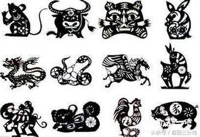 十二生肖算命属猪每月运势,十二生肖每日运势老黄历兔