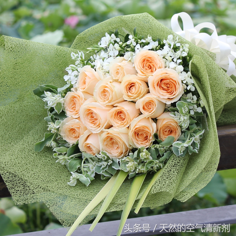 情人节手拿满天星花束最新款图片,情人节创意花束一秒征服吃货的心