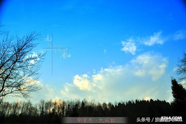 张家界国家森林公园旅游攻略,张家界品质游旅行社旅游攻略