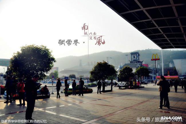 张家界国家森林公园旅游攻略,张家界品质游旅行社旅游攻略