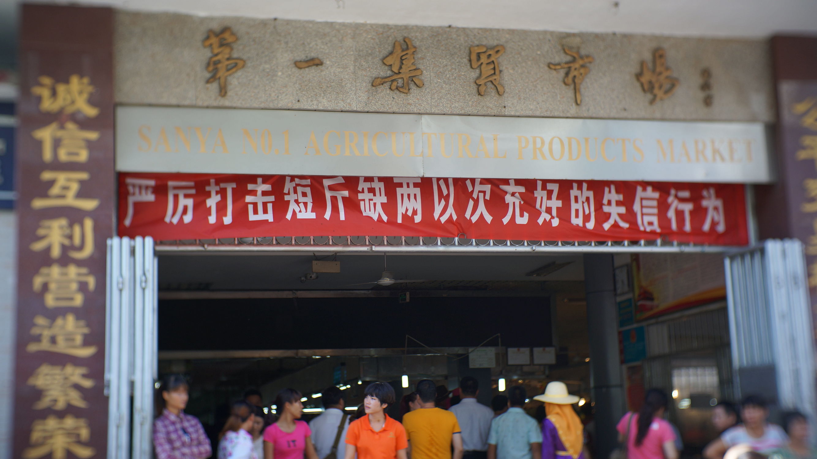 一次说走就走的旅游海南三亚,一次说走就走说回就回的旅行