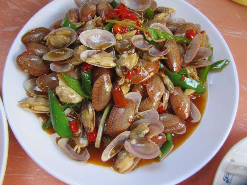 一次说走就走的旅游海南三亚,一次说走就走说回就回的旅行