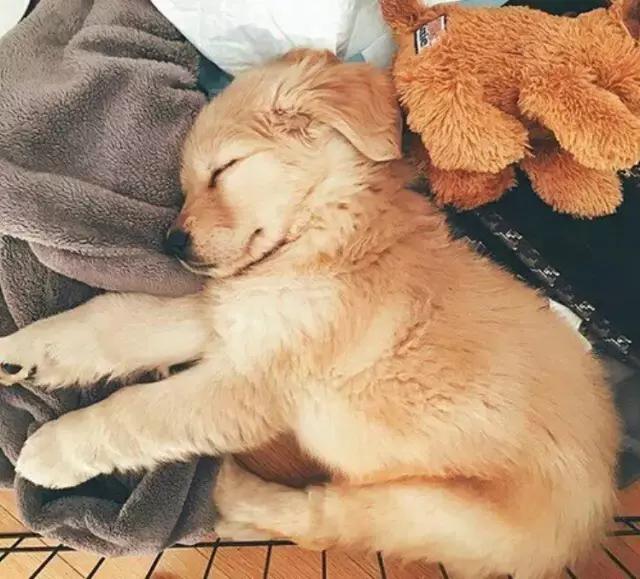 余文乐quotationmarks主理人,余文乐主理匡威