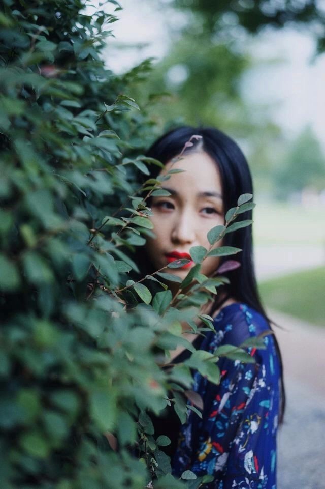 《本草》植物志之彼岸花：开一千年，落一千年，花叶不相见