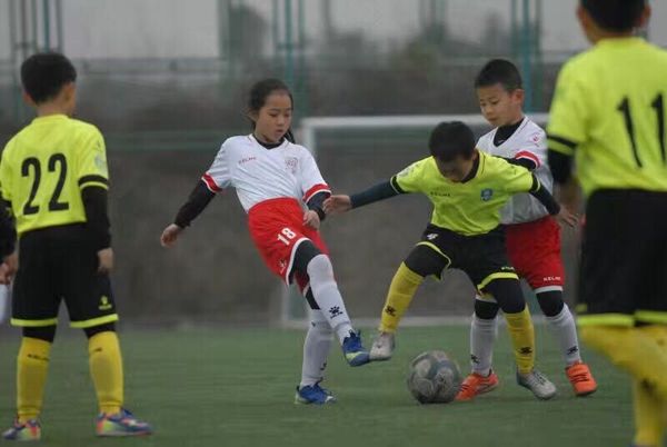 四川南充高坪一小足球新闻,南充行知小学第八届足球运动会