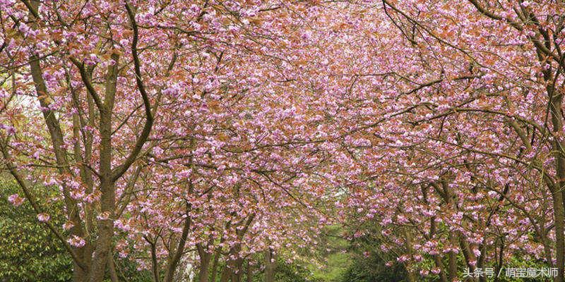 春天适合带孩子去旅游的地方 (春天适合带孩子出游的地方)