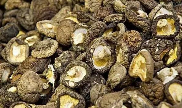 美国入境禁止携带哪些东西,入境美国不能带的物品清单