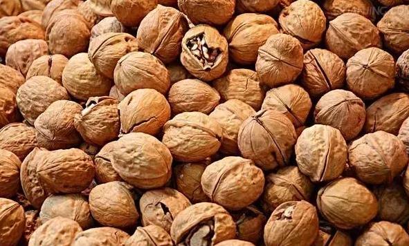 美国入境禁止携带哪些东西,入境美国不能带的物品清单