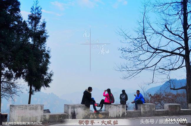 张家界国家森林公园旅游攻略,张家界品质游旅行社旅游攻略