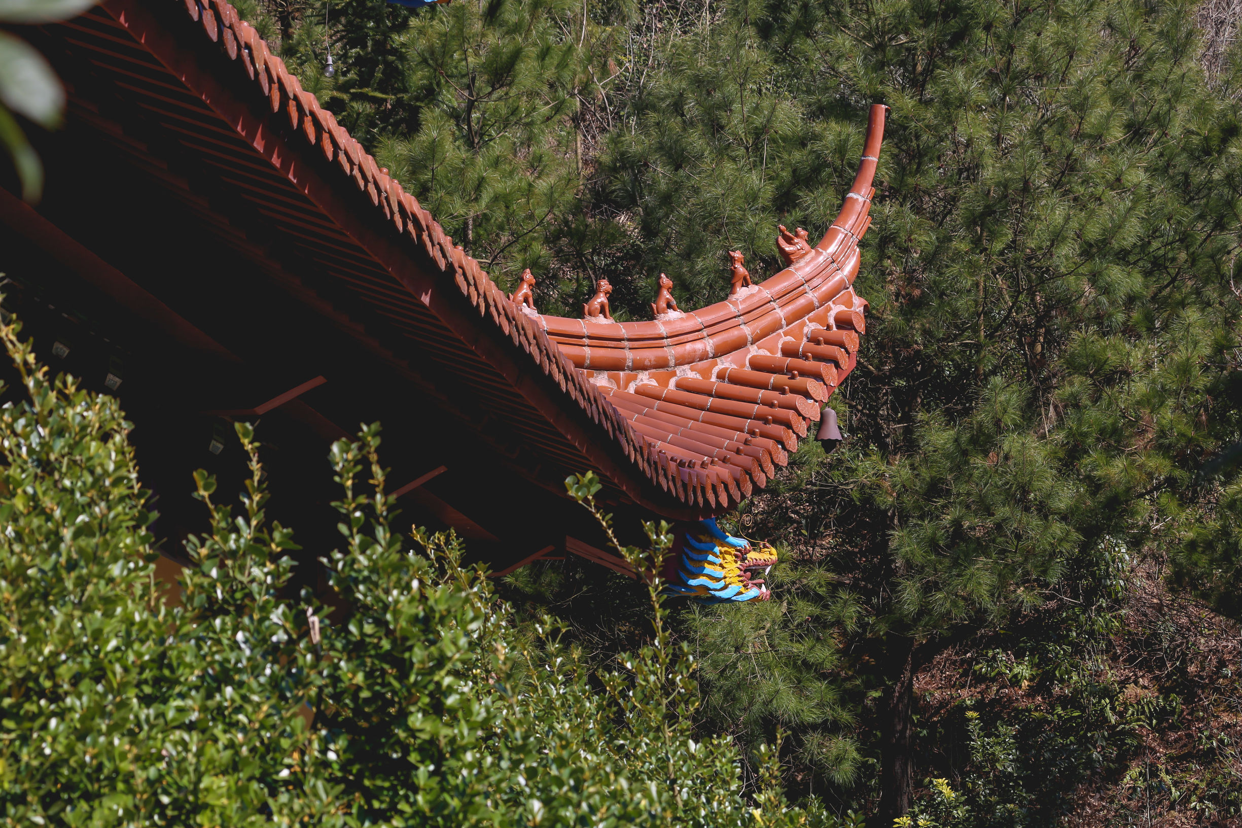 香港香火最旺的黄大仙庙,香港黄大仙庙为什么香火鼎盛