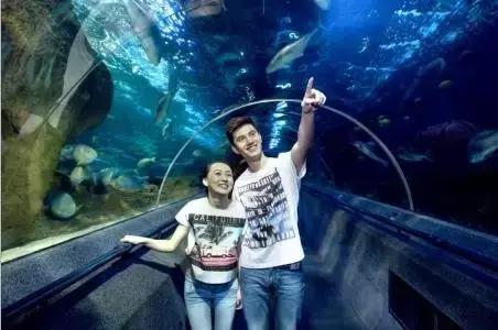 澶ц繛涓栦簨娌ф,澶ц繛鑺濇牴鑺濆簳