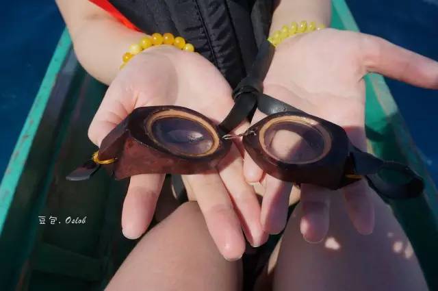 除了鲸鱼海豚还有哪些哺乳动物,除了鲸鲨还有什么鱼比较大