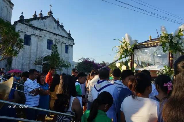 除了鲸鱼海豚还有哪些哺乳动物,除了鲸鲨还有什么鱼比较大