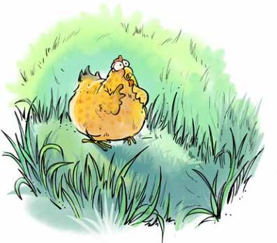 那只小母鸡，你收敛点！是你本命年也不能太过分！