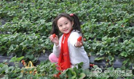 林妙可为什么长大不漂亮了,林妙可为什么老气