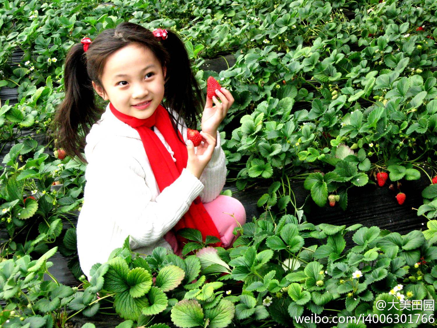 林妙可为什么长大不漂亮了,林妙可为什么老气