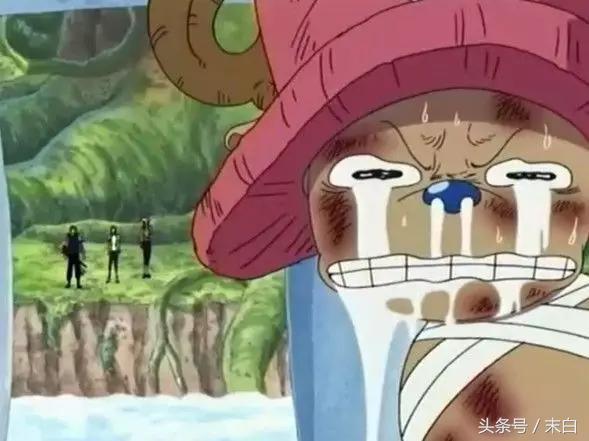 海贼王每一个篇章,海贼王催泪瞬间满满的回忆