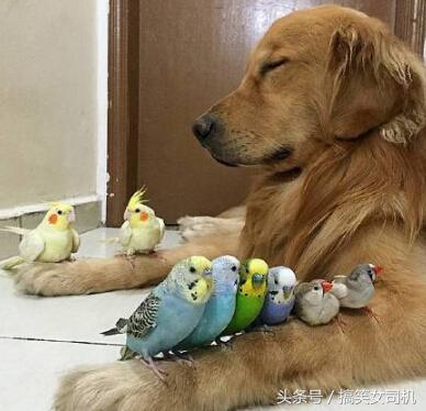 女生的嘴是撅着的,姑娘的嘴