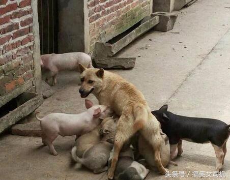 女生的嘴是撅着的,姑娘的嘴