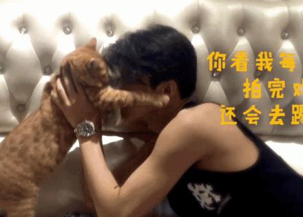 鹿晗胡歌吴磊,鹿晗胡歌葫芦娃