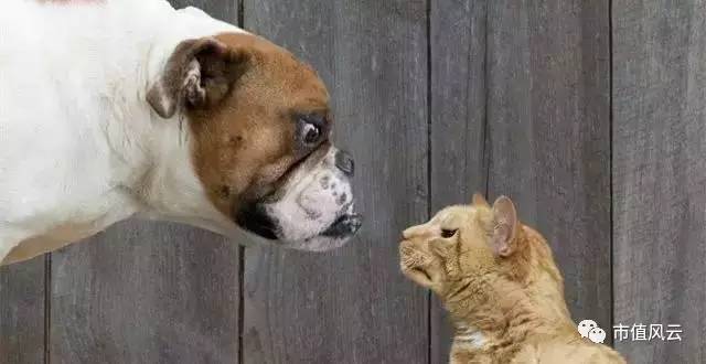 A股又出经典案例：违规增持股票的股东权利到底有效无效？