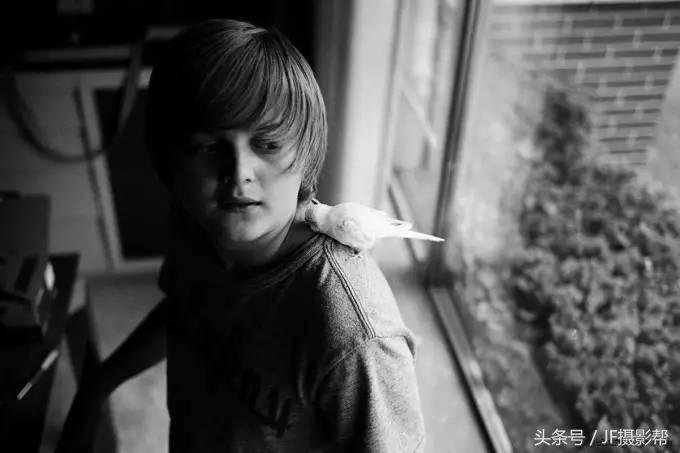 徕卡mp经典胶片,徕卡最后一款便携胶片机