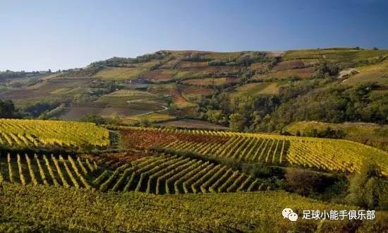 欧冠直播那不勒斯vs巴黎圣日耳曼,意甲那不勒斯1-3佛罗伦萨集锦