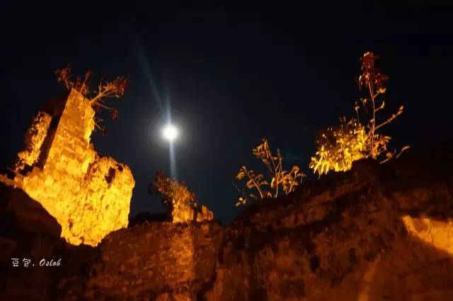 除了鲸鱼海豚还有哪些哺乳动物,除了鲸鲨还有什么鱼比较大