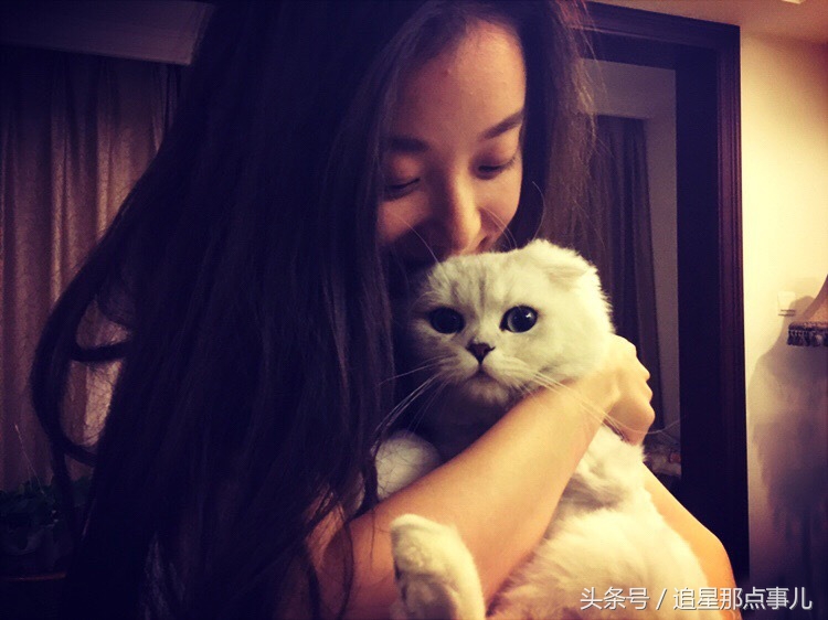 鹿晗胡歌吴磊,鹿晗胡歌葫芦娃