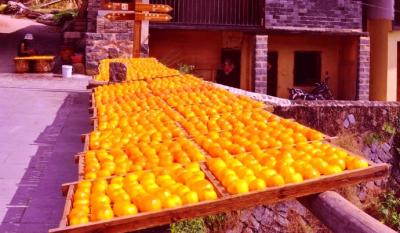 永定土楼美食,永定特色美食农家菜