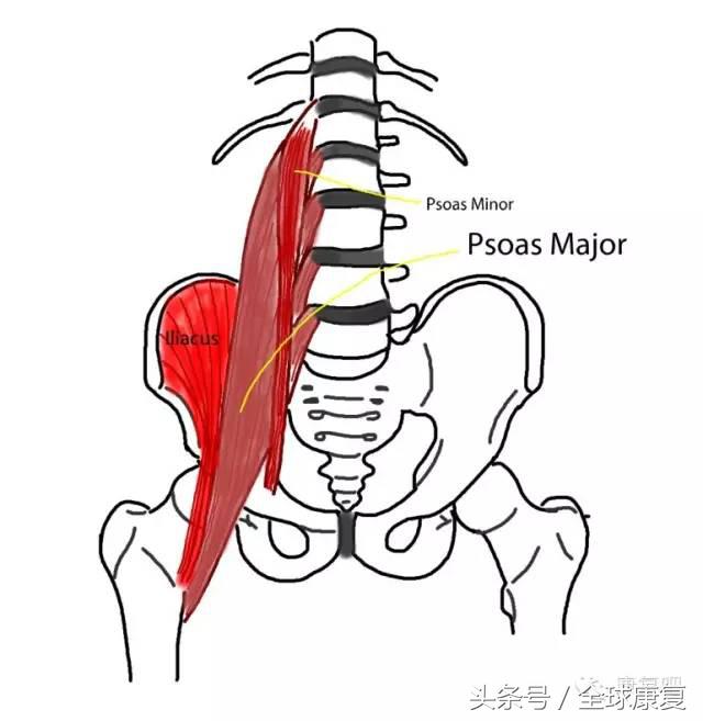l45椎间盘突出的康复训练方法,c3-7椎间盘突出康复训练