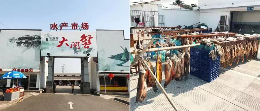 导航会不会提示禁区,导航提醒前方进入拥堵路段