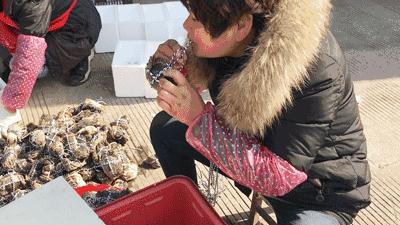 导航会不会提示禁区,导航提醒前方进入拥堵路段