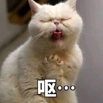 小同志，我要知道你这么傻我就应该多骗你钱了