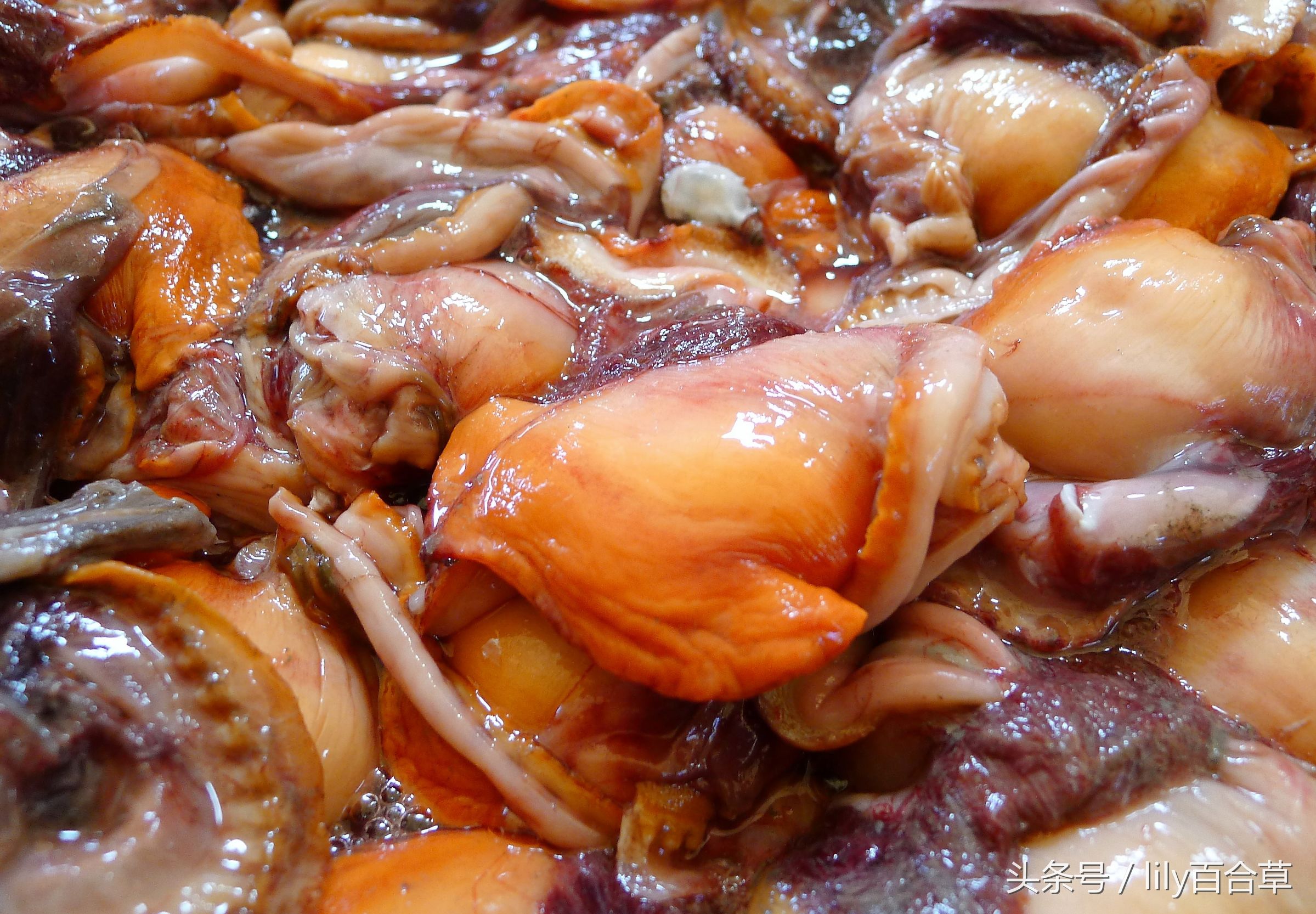 哪些海鲜可以带回家,回家路上可以带海鲜吗