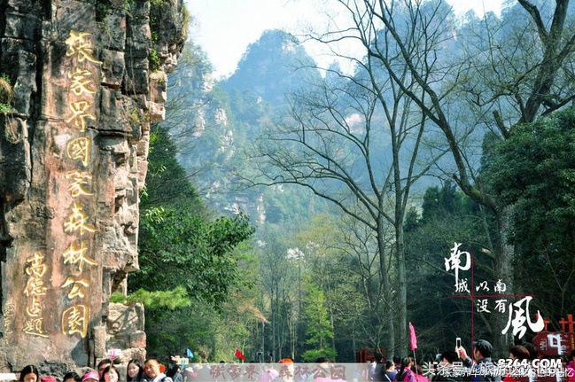 张家界国家森林公园旅游攻略,张家界品质游旅行社旅游攻略